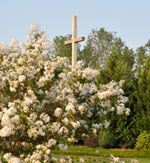 header - cross garden blooming