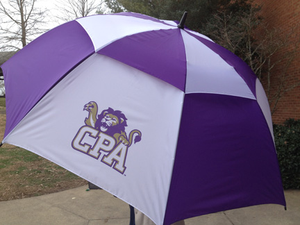 Roar Store_umbrella